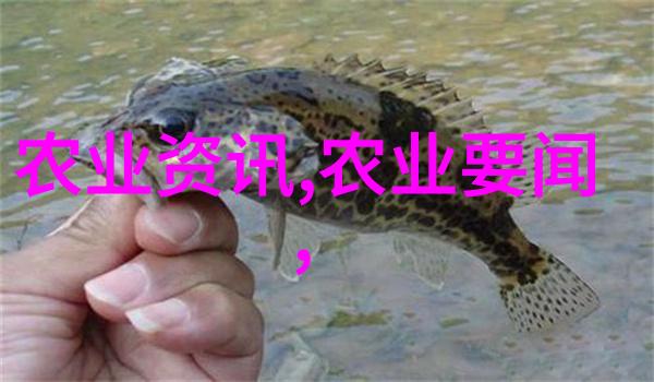 自我养蜂者能否从自己的蜜蜂中获得纯净的自然蜂蜜