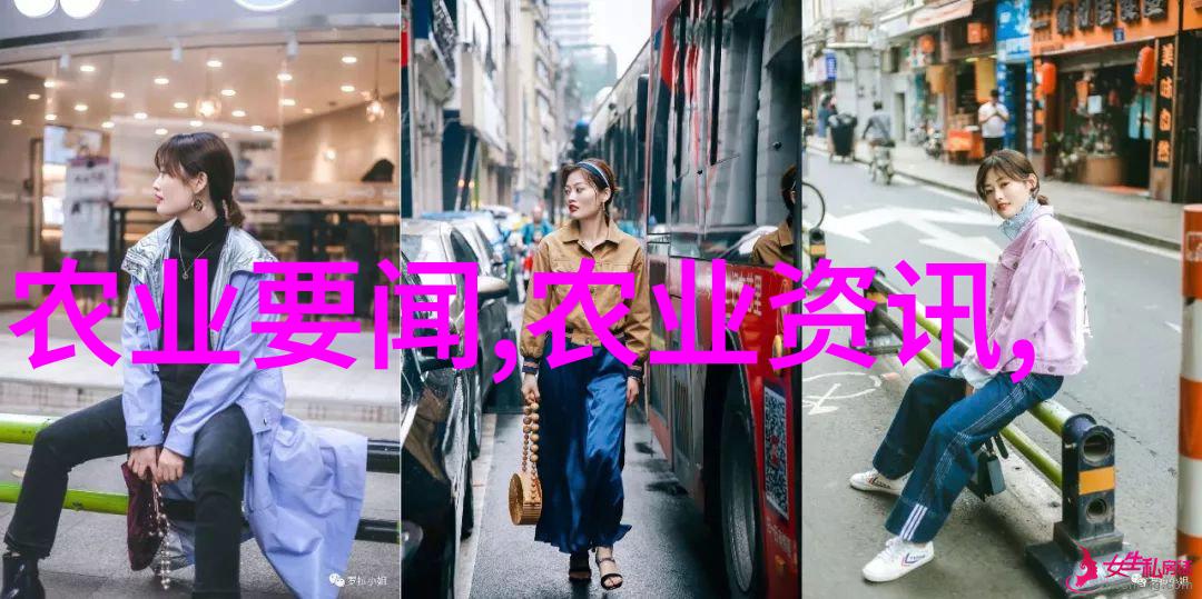 春末至夏初应该怎么安排青瓜和黄瓜的播种时间