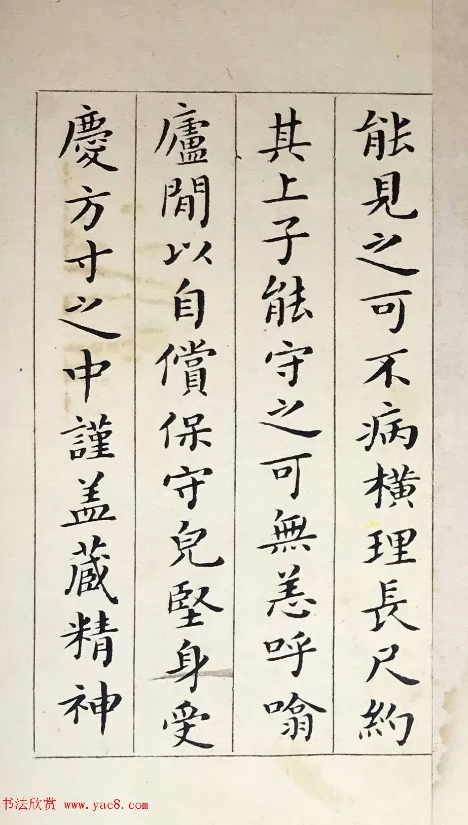 蔬菜资讯亲自去市场的你一定要知道这10种新鲜蔬菜