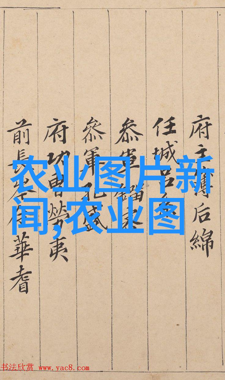 室内植物盆景十大排名绿色美化家居生活的最佳选择