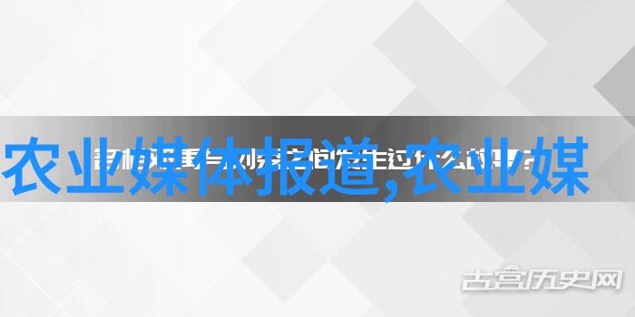 金线莲回收公司守护环境铸就可持续未来