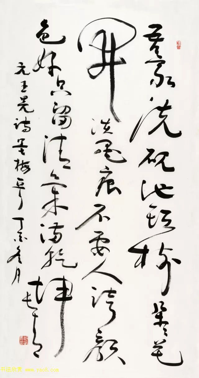紫花地丁的秘密力量揭秘其功效与作用