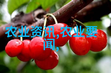 安卓用户必备蜜蜂软件下载最新版本