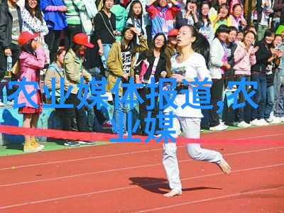 拖拉机技术与农业生产力提升研究