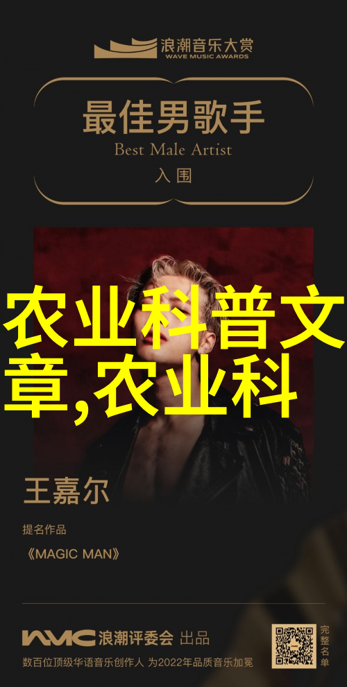 家庭财富之树客厅里的金钱植物