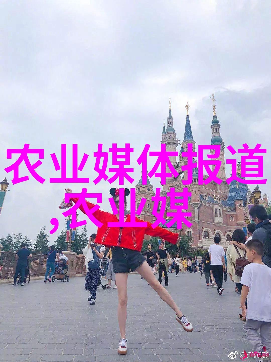 绿茵茵的田野黄瓜种植的艺术与智慧