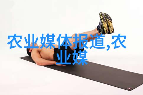 主题-养蜂箱的巧妙设计37x37方型箱中的中蜂之谜