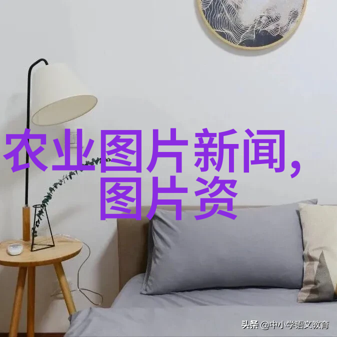 经济效益分析土鸡养殖项目投资回报预测
