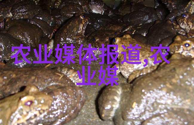 茶叶分类之探究绿茶黑茶与白茶的世界