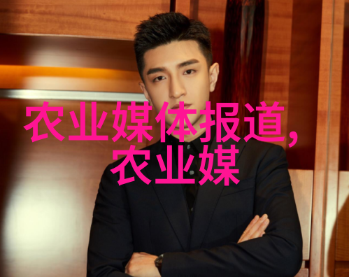 浪漫-追逐世界级情人的故事爱的无限可能