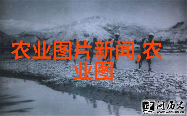 中国大规模收购药材以保证国内医药供应