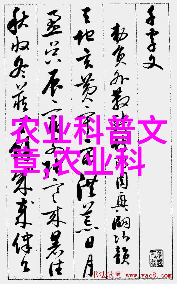 工业自动化设备皮带输送机系统高效精密的物料运输解决方案