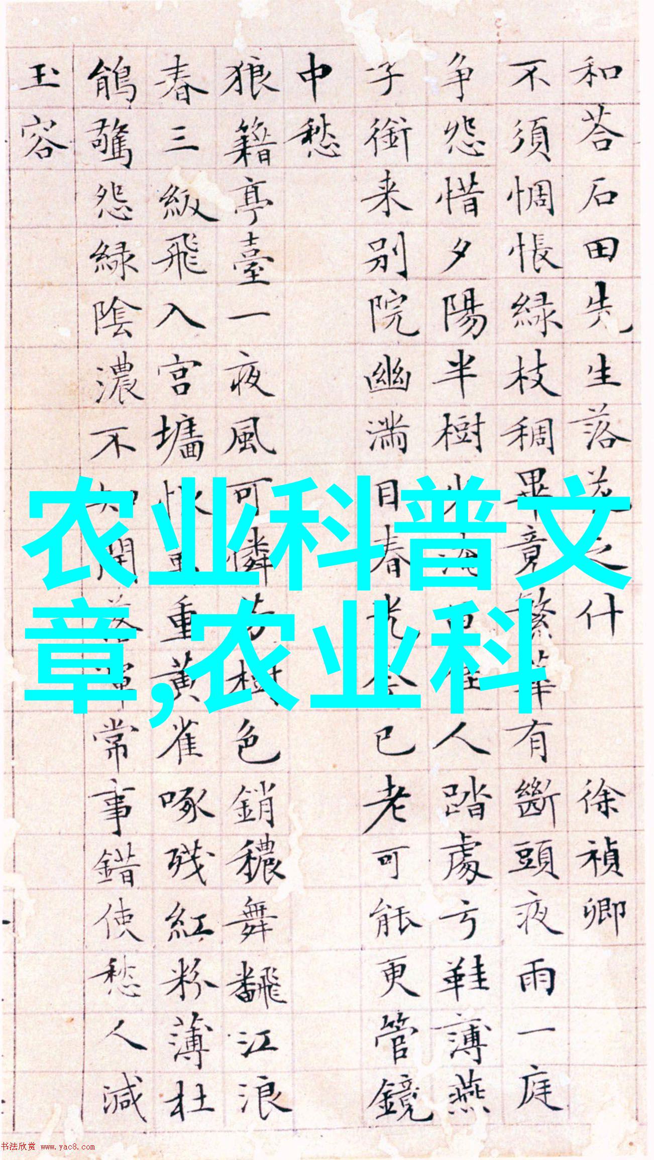 农村野趣探秘草药之乡的绿色宝藏