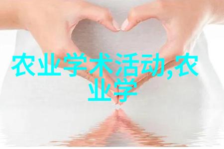如何为小蜜蜂建造安全且高效的蜂箱