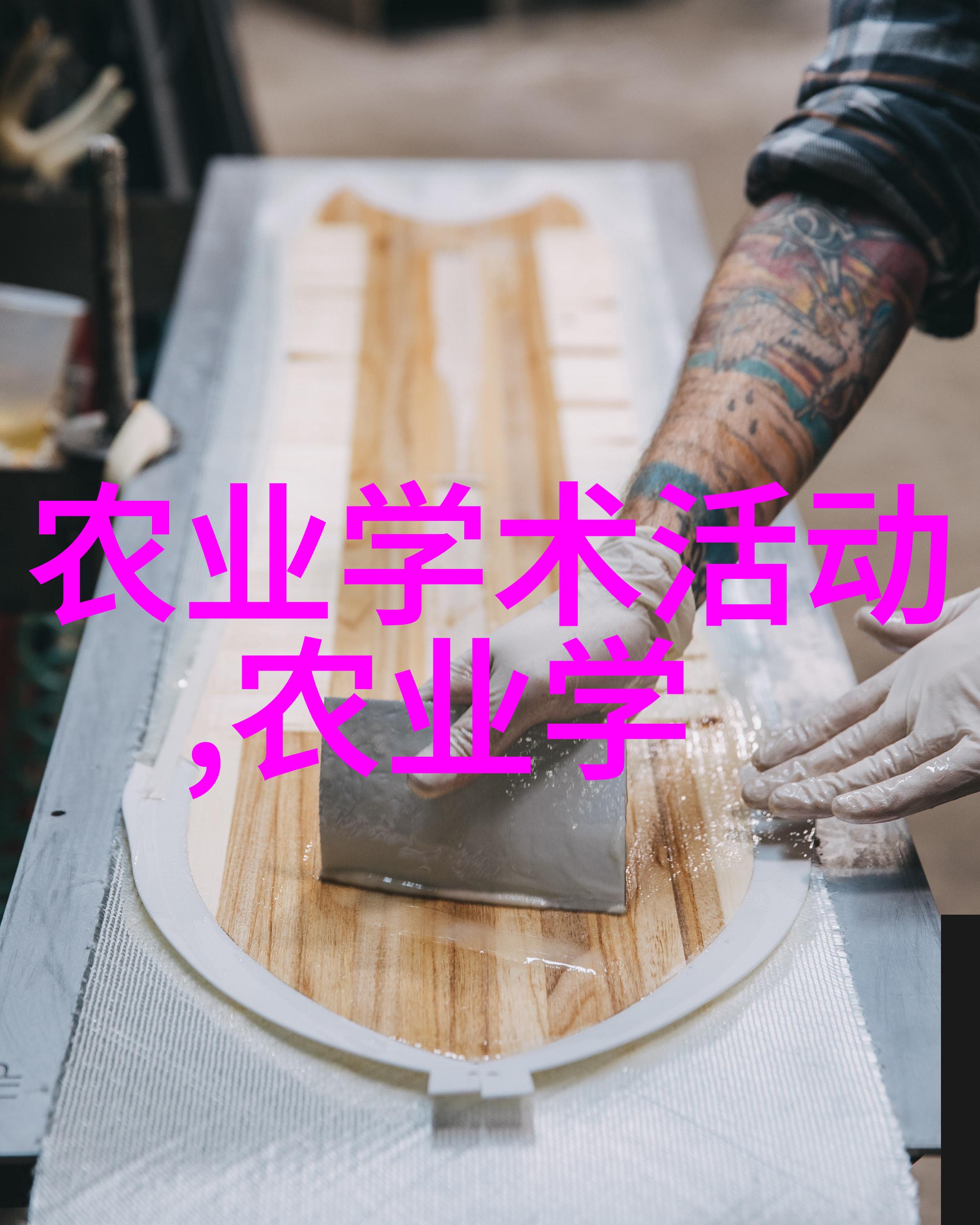 室内绿洲探索室内种植的艺术与实用之美