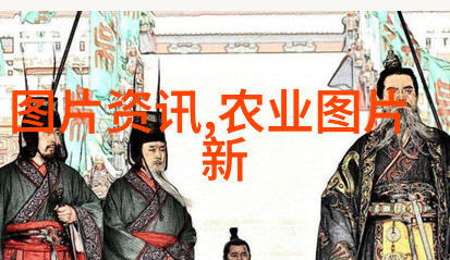 花卉苗木种植技巧提高盆栽成功率的专业知识