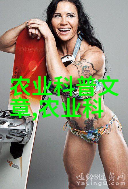 玉米种子自然的丰收之源