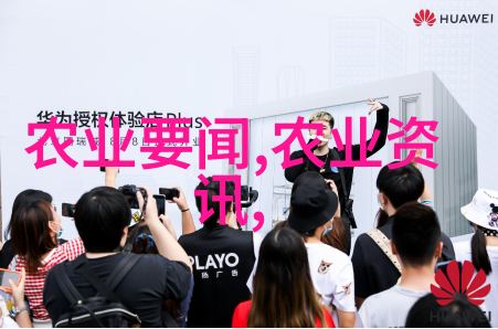 建一个二亩地的大棚费用详解农业设施投资估算