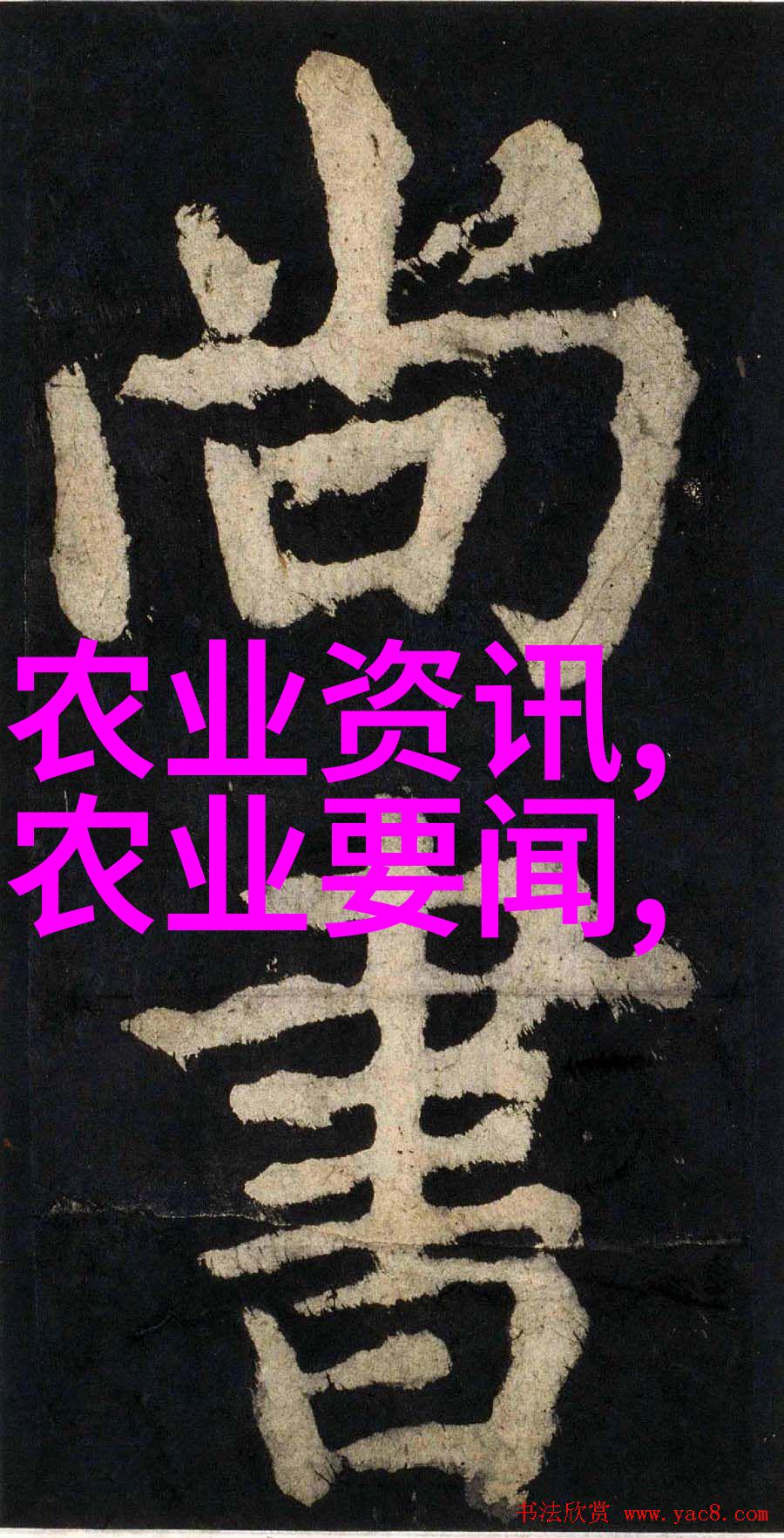 乐园路上的探索