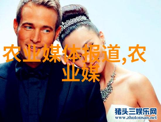 大棚种菜技术全套高效农业的精髓