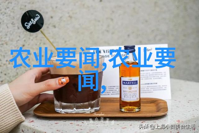 绿化网哪里有卖城市绿化网的种子与植株