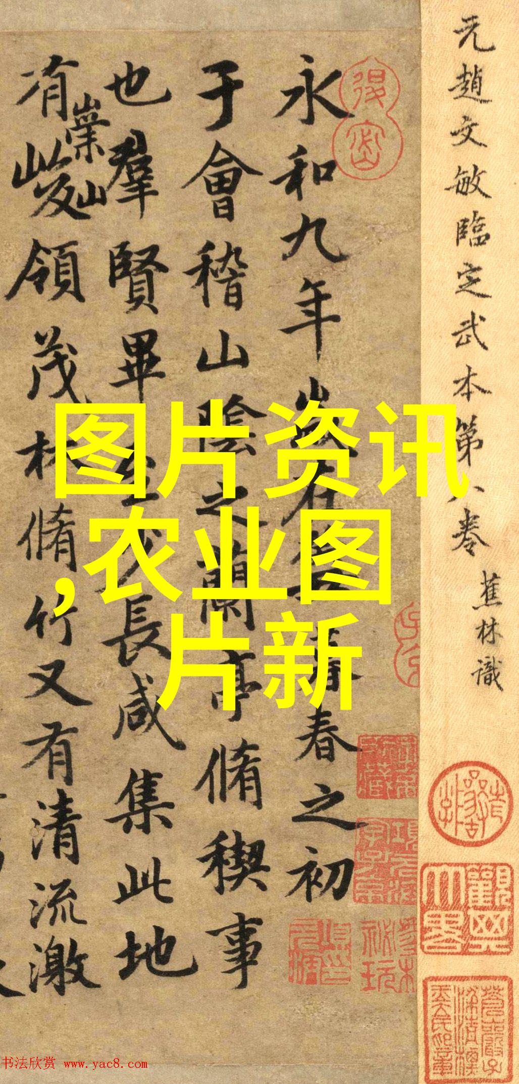 大型旋耕起垄施肥一体机革新农田作物生产效率的新篇章