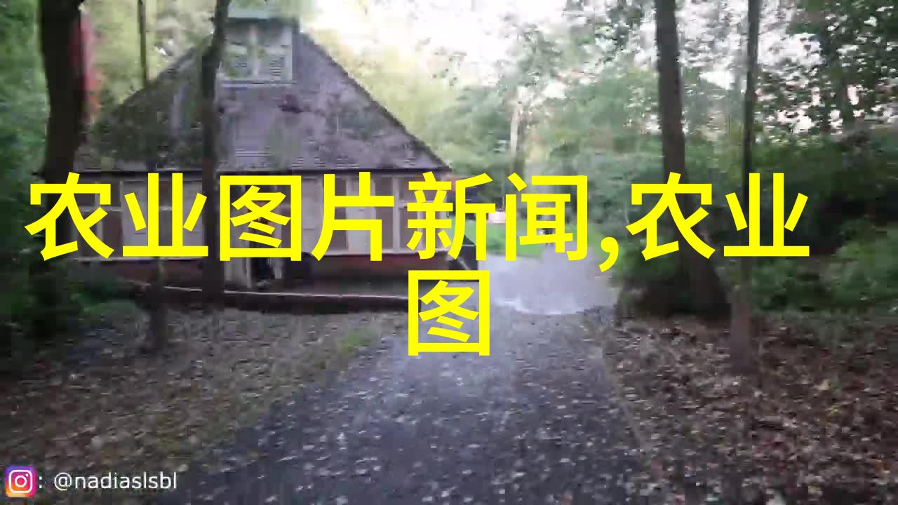 药材百科解密中国传统医药的秘密