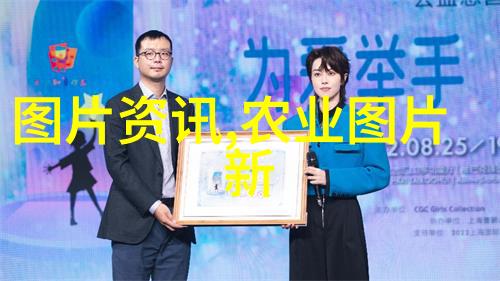 阿里巴巴苗木网里的盆景法桐之谜树林里的秘密花园