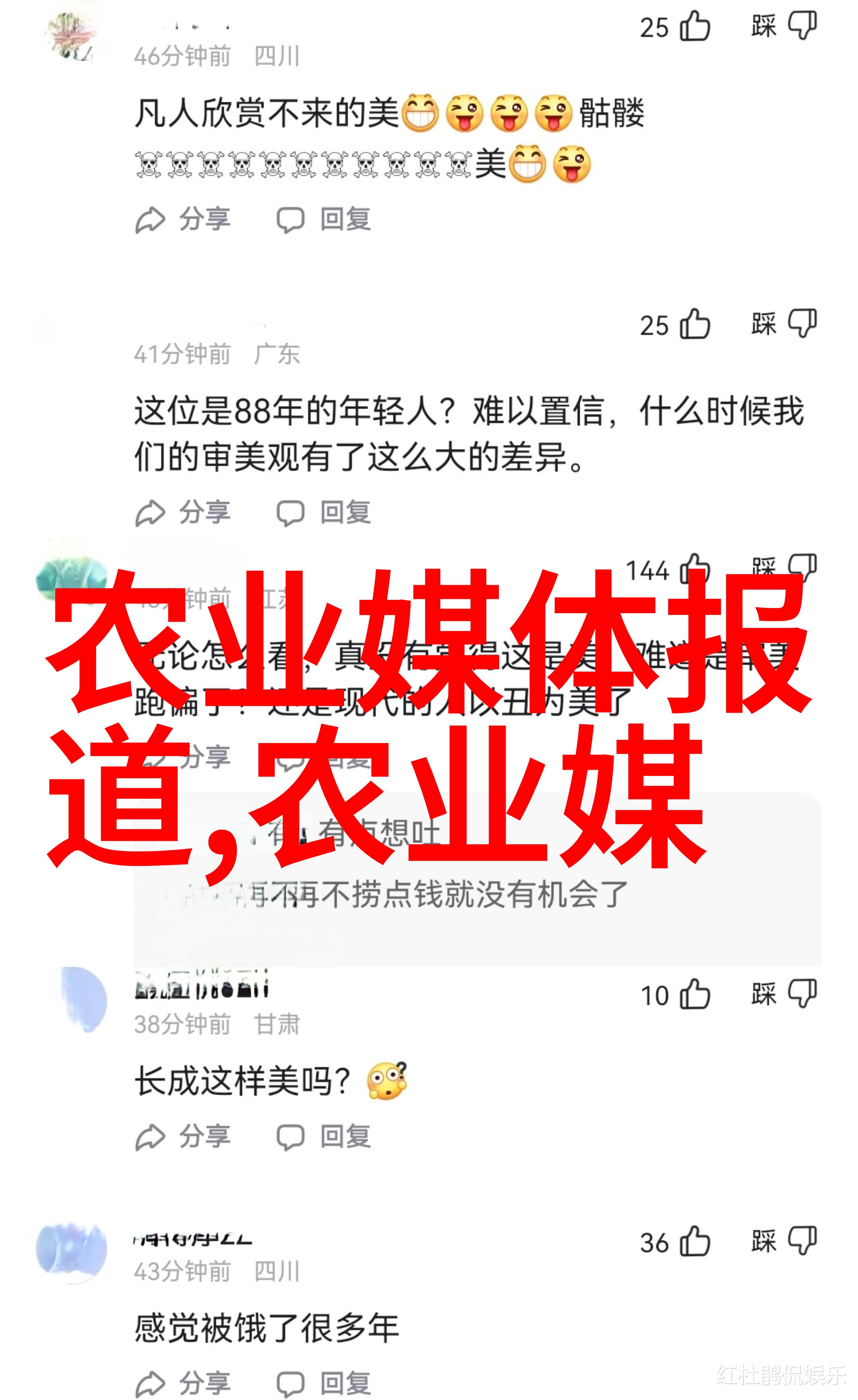 金丝楠苗木市场价评析10公分幼苗的真实价值探究
