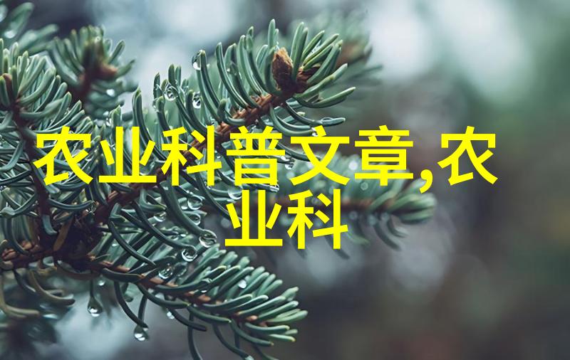 机智的交通升降机的奇妙世界