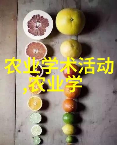 落叶归根10年枫树的价值与故事