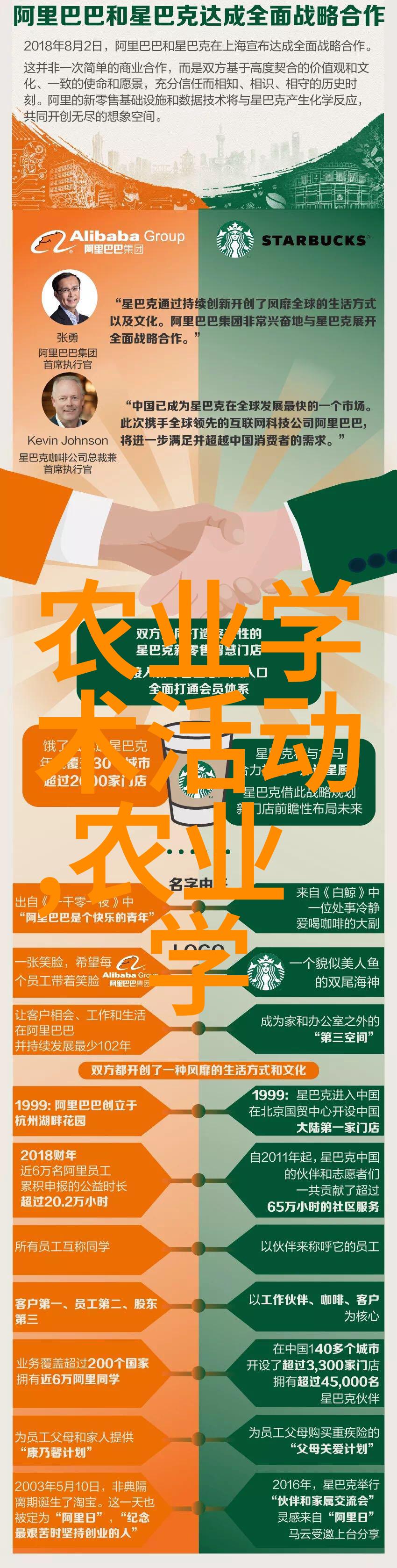 园艺之美掌握庭院蔬菜种植的技巧与智慧