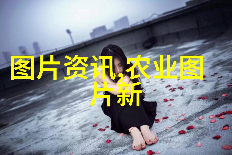 如何养羊才能轻松赚取二十万