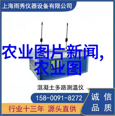 绿色生活指南绿意盎然的家庭园艺趣味活动