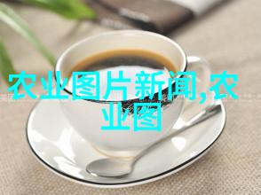 草药辞典3000种植物的秘密语言