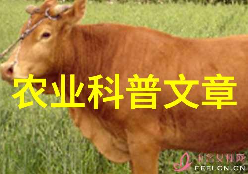 农业新闻市场报道分析