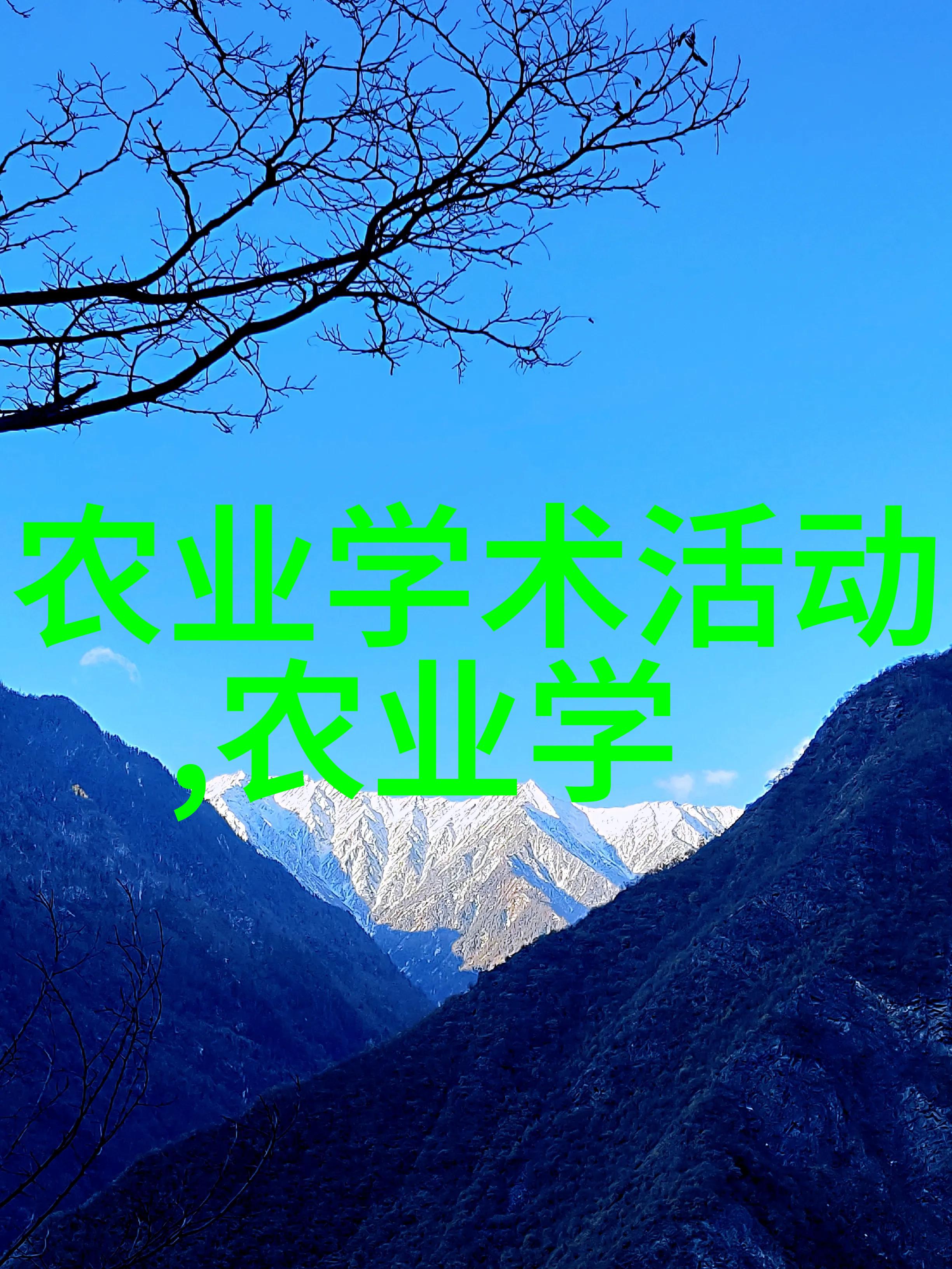 秋日阳台上的果实收获选择合适的水果种植