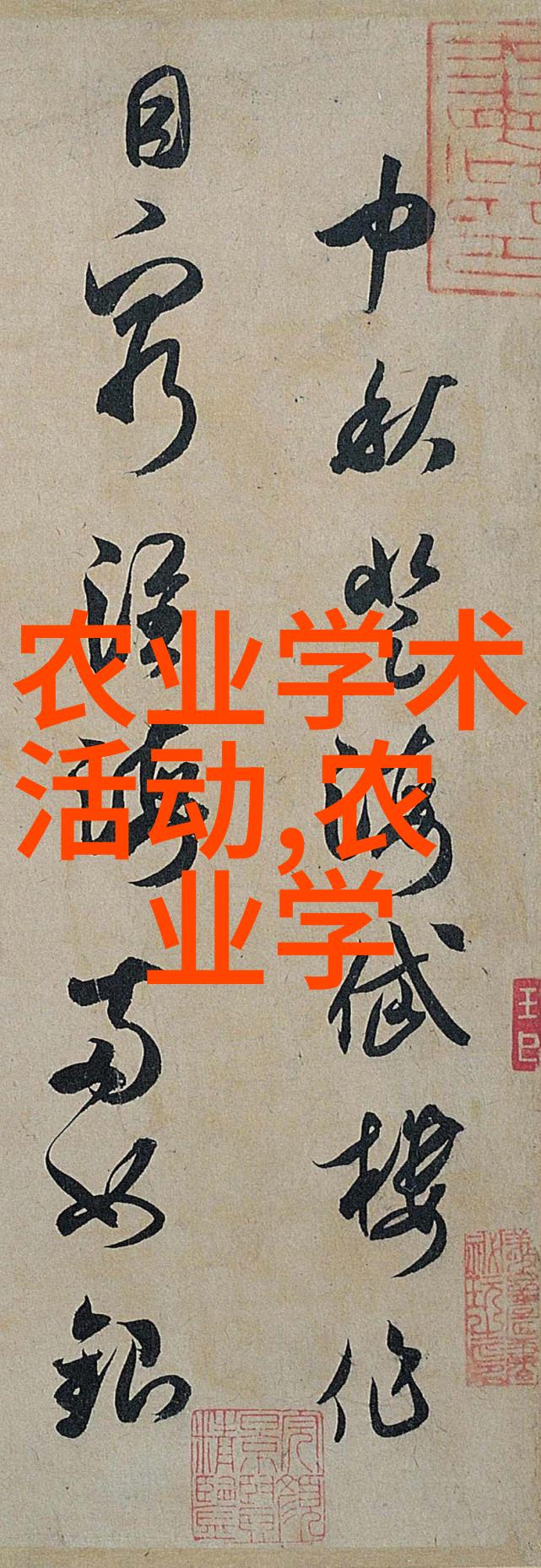 西方菜肴的色彩交响曲一个味蕾的诗篇