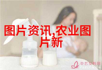 快速致富的秘诀种植哪些高收益作物