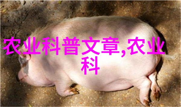 品味中国茗茶文化探索中国茗茶网的艺术与传承