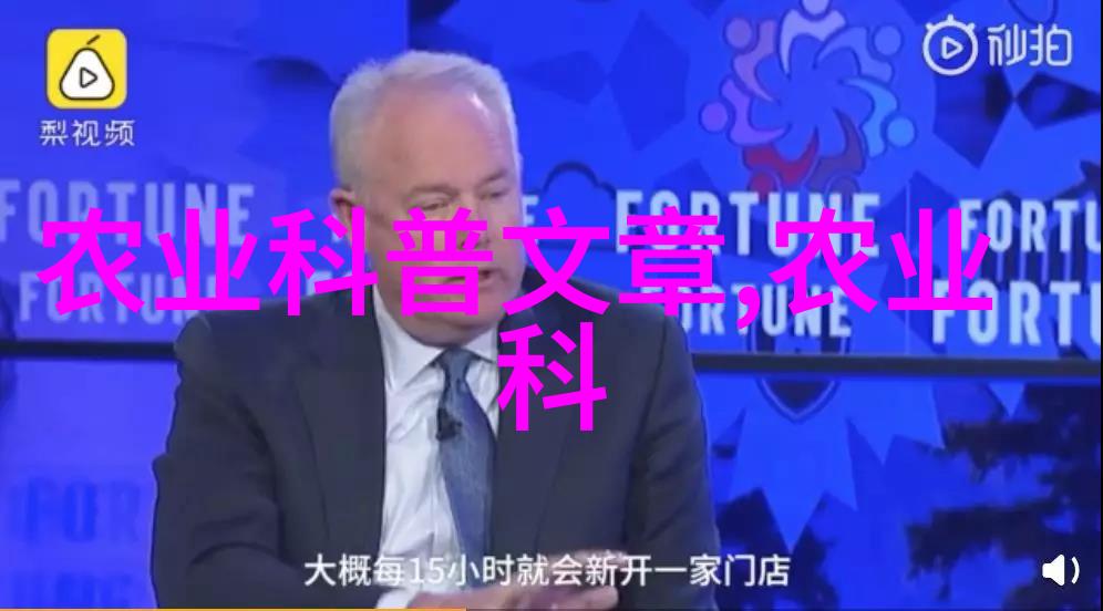 野兔之梦探索草原的秘密