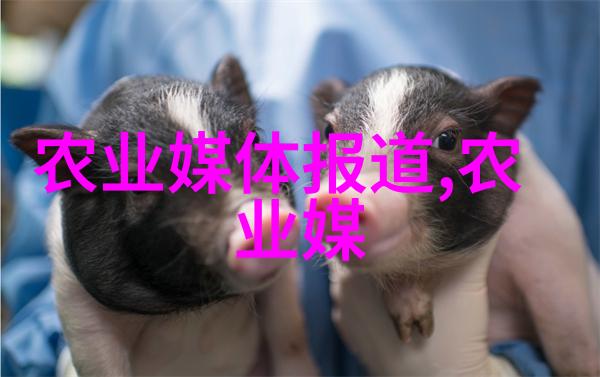 生猪养殖技术培训我的饲料配比学到了哪些宝贵经验