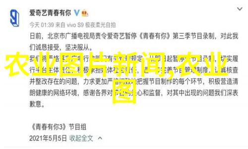 玉米收获后如何快速处理以延长储存时间