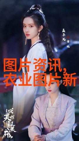 穿越时空探索茶叶的起源之谜