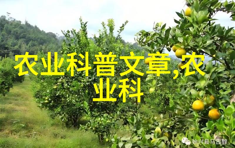水果园艺新手友好种植指南适合初学者的易于培育水果