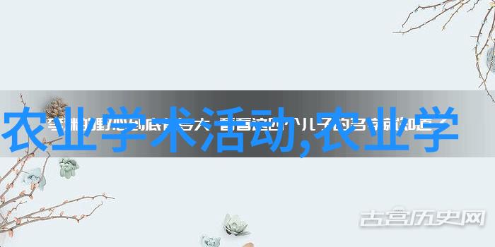 铁拳之力液压破碎锤的无声力量