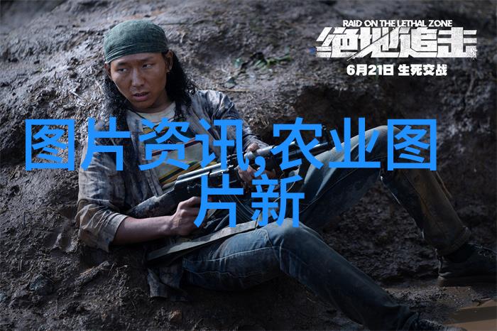 揭秘高效养护提高大棚草莓产量同时降低成本