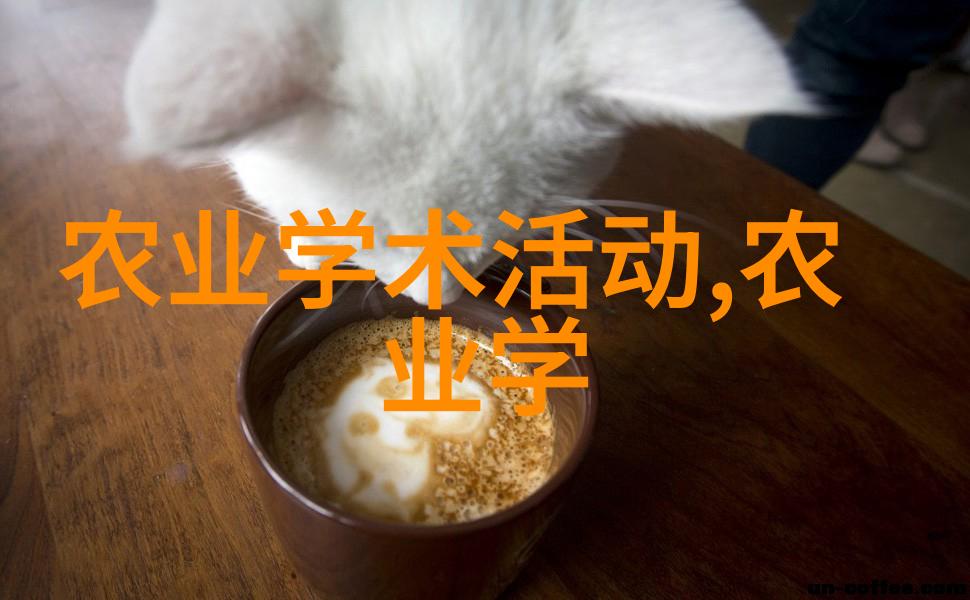 无土栽培一亩投入多少我是如何花了几千块钱才学会在厨房里种出美味的蔬菜的