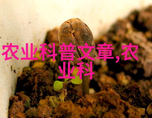 家庭花卉盆栽-家中园丁的乐趣如何选择适合你家的花卉盆栽