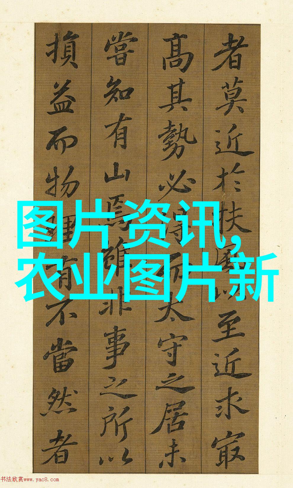 江西独特宝藏揭秘最贵药材的种植与价值